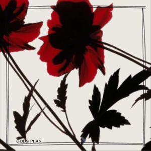 crimson flora streetwear bandana